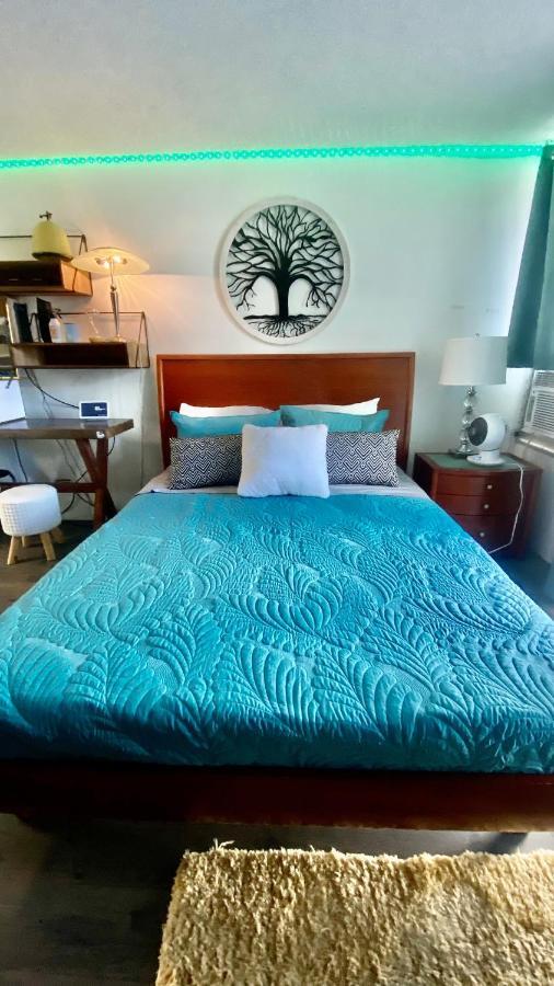 Apartamento Lewers Studio